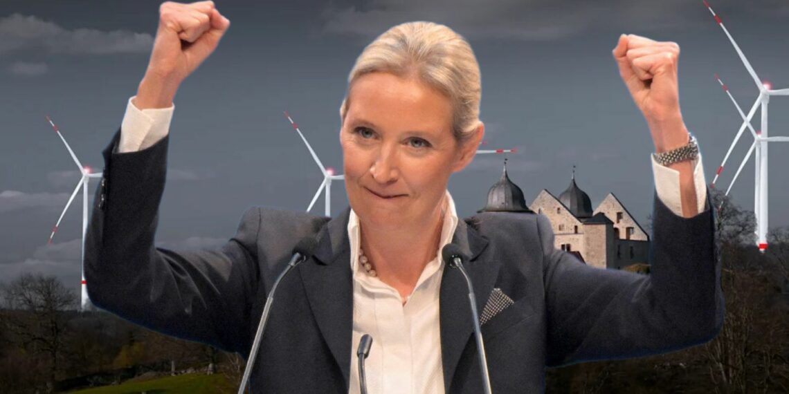 alice-weidel-afd-Windräder