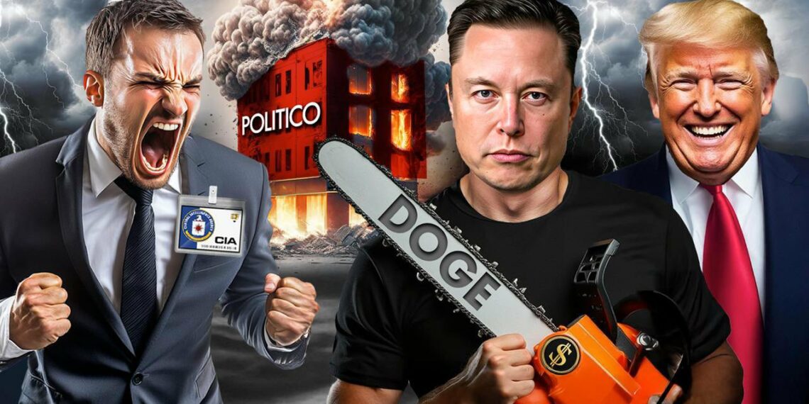 DOGE-Musk-Politico-Ukraine