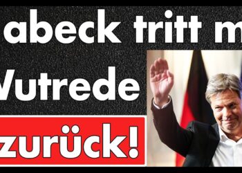 Ein Schwachkopf geht, der Schaden bleibt: Habeck legt sein Mandat nieder und schlägt wild um sich.