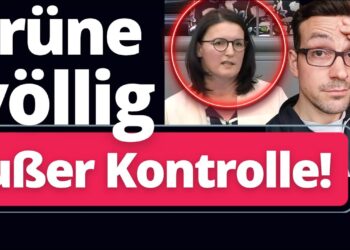 Überwachungskritik: Grüne Politik außer Kontrolle - D-Talk Deutschland.