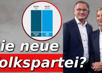 Eine mögliche Strategie der SPD & Grünen gegen die AfD (ohne ein Verbot)