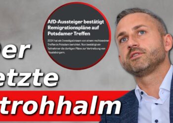 AfD-Politiker bei einer Rede, politische Diskussion, Wahlkampf, Deutschland, Strohhalm im Fokus.
