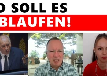 Ehemaliger Politiker bei einer Diskussion im Video Konferenzformat, moderiert von D-Talk, über aktuelle politische Themen und gesellschaftliche Herausforderungen.