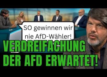 D-Talk Diskussion zur AfD-Wahlstrategie, Politikdebate und Wählerpotenzial, kreative politische Talkrunde in Deutschland.
