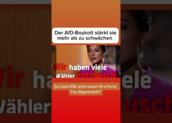 Afd-boykott-staerkt-politische-bewegung-deutschland-2023.