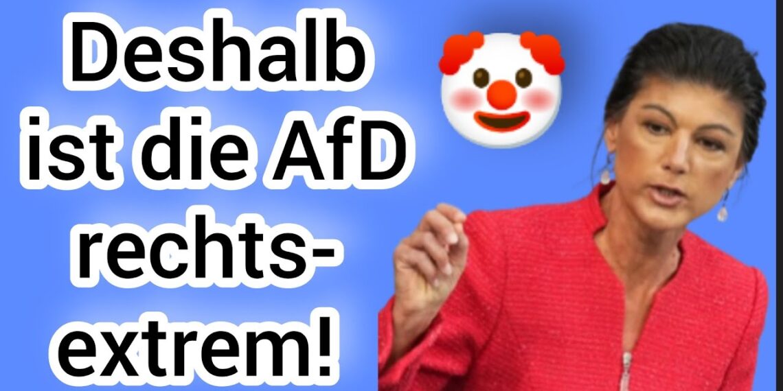 Deshalb ist die AfD rechtsextrem! BSW und SPD machen sich lächerlich