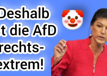 Afd-rechte-extremismus-debatte-deutschland-dtalk.