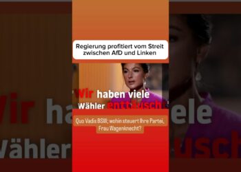 Regierung profitiert vom Streit zwischen AfD und Linken