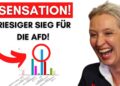 AfD gewinnt Integrationsratswahl: Nur Menschen mit Migrationshintergrund durften wählen!