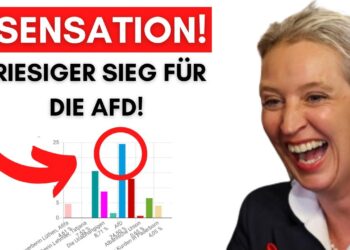AfD gewinnt Integrationsratswahl: Nur Menschen mit Migrationshintergrund durften wählen!