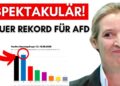 Umfrage: Höchster Wert jemals für AfD – Deutschlandweit!