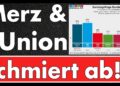 Wirtschaft im Sinkflug, Umfragen im Keller & AfD im Aufwind – Sie kapieren’s nicht!