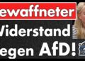 „Es gibt einen Punkt, wenn Worte nicht mehr ausreichen“ – Jette Nietzard zur Gewalt gegen die AfD!
