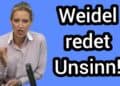 Alice Weidel erzählt Unsinn Deutschland braucht riesige Schulden – Heiner Flassbeck im Interview