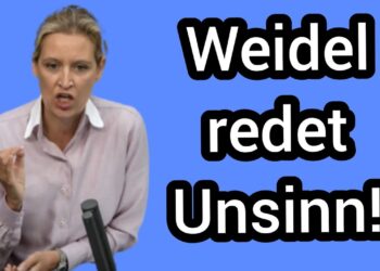 Alice Weidel erzählt Unsinn Deutschland braucht riesige Schulden – Heiner Flassbeck im Interview
