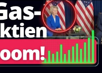 Von der Leyen: 750 Milliarden für US-LNG und Öl! So hol ich es mir zurück!