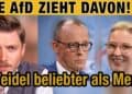AfD WIEDER vor der CDU – Der nächste Umfrage-Hammer | Weidel beliebter als Merz